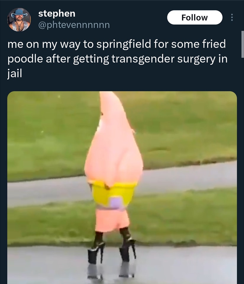 This meme is a humorous image of a character from the TV show "SpongeBob SquarePants" (Patrick Star) wearing high heels and a wig, with the text "me on my way to Springfield for some fried chicken after getting transgender surgery in jail" added to the image. The image is likely a satirical take on the idea of someone getting a new identity after being in jail, with a humorous and absurd twist. The text is meant to be ironic and humorous, implying that the character is now a woman, but still in jail.